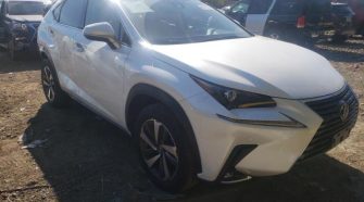 2020 Lexus NX 2.0