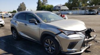 2019 Lexus NX 2.0