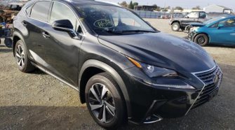2020 Lexus NX 2.5