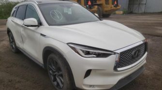 2019 Infiniti QX50 2.0