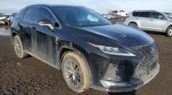 2021 Lexus RX 3.5