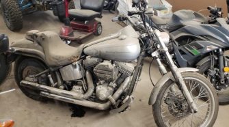 HARLEY DAVIDSON Softail 1600 из США