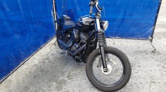 HARLEY DAVIDSON Softail 1500 из США