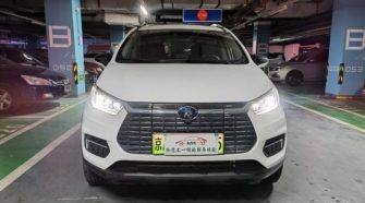 2020 BYD EV535